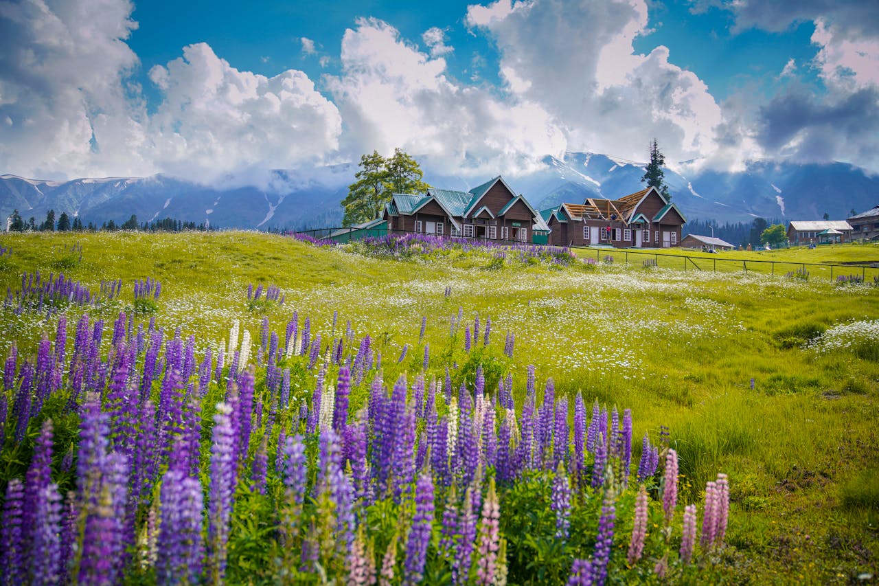 Gulmarg 